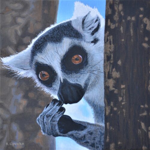 LIPECKA-BOCHEŃSKA Regina - Lemur katta (z cyklu Madagaskar)