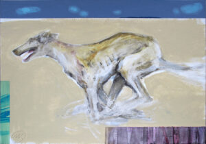 KWIATKOWSKI Marek - Whippet